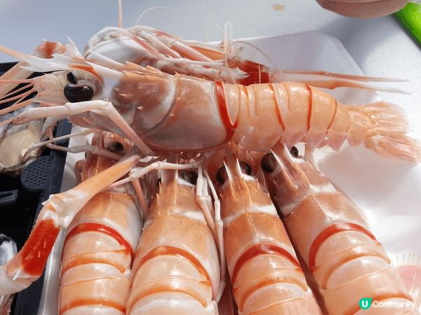 澳元對港元現在滙率低，去澳洲玩比起其他地方平好多。响悉尼Fi...