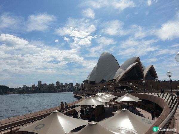 澳元對港元現在滙率低，去澳洲玩比起其他地方平好多。响悉尼Fi...