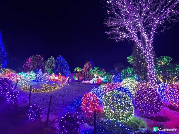 2025韓國之旅 真係一個有景睇，有嘢玩，有嘢買，有好多嘢食...