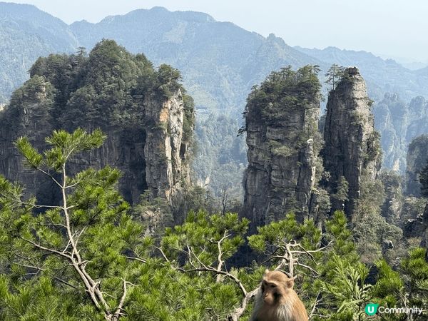湖南張家界天門山，門山國家森林公園（黄石寨索道、天子山索道、...
