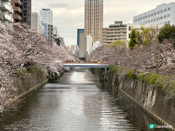 東京目黑區必吃鰻魚飯