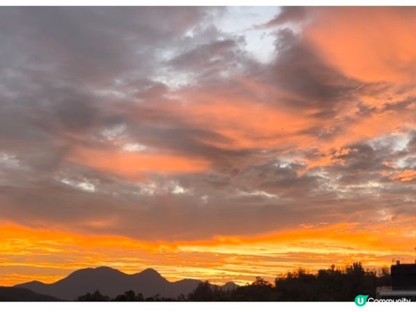 香港領養小孩(八)適應新校園生活