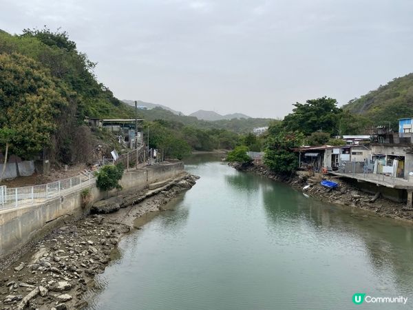 屯門公路旁，小村莊的雀鳥聲🐦🌳