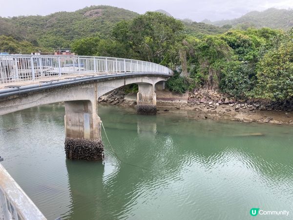 屯門公路旁，小村莊的雀鳥聲🐦🌳