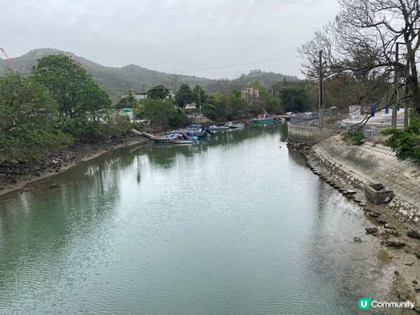 屯門公路旁，小村莊的雀鳥聲🐦🌳