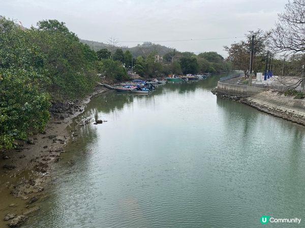 屯門公路旁，小村莊的雀鳥聲🐦🌳