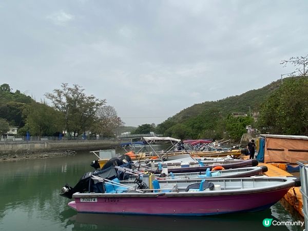 屯門公路旁，小村莊的雀鳥聲🐦🌳