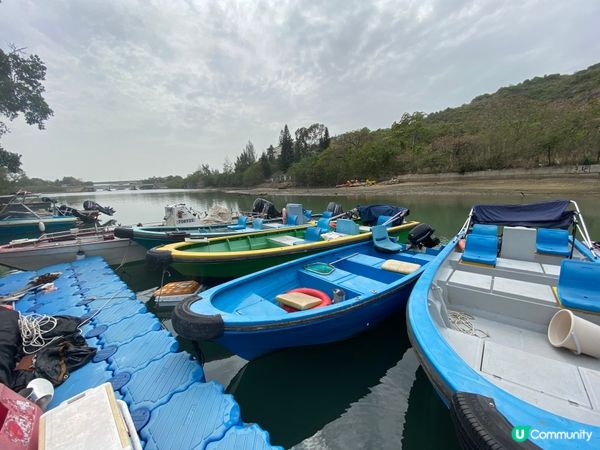 屯門公路旁，小村莊的雀鳥聲🐦🌳