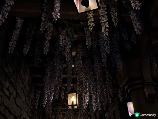 迪士尼frozen 應該係每個小女孩都想去嘅地方｡🌸如果你都...