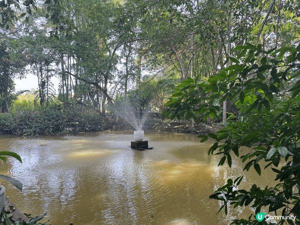 去清邁玩，點樣都一定要去行市集。佢哋有好多市集行，毎個都有少...