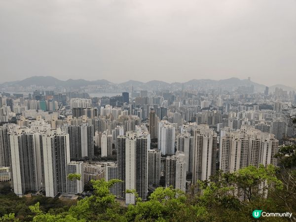 最近既天氣真係好適合郊遊，今次行左去由法藏寺起步到獅子山，上...
