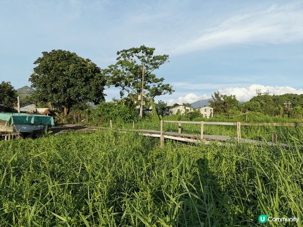 想去個好玩輕鬆的地方嗎