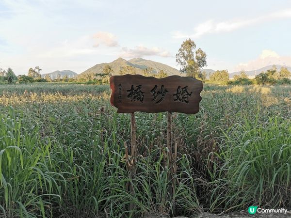 想去個好玩輕鬆的地方嗎