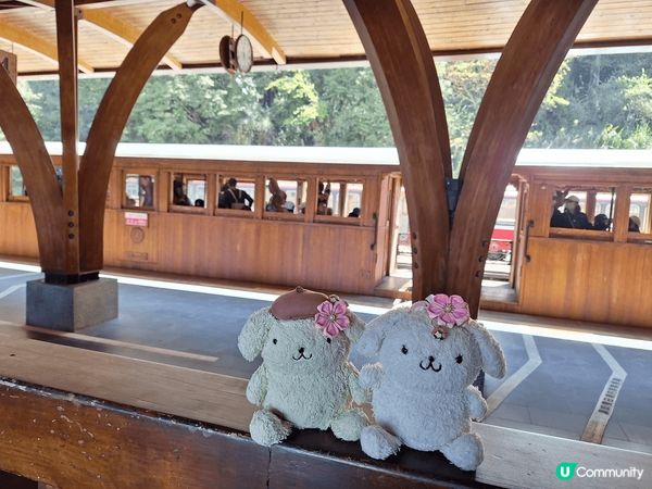 今年去左台灣阿里山國家森林遊樂區，附左有靚靚既吉野櫻花外，仲...