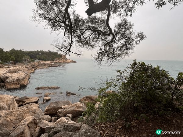 来自长洲岛的美丽风光，在山上可以俯瞰长洲岛全景