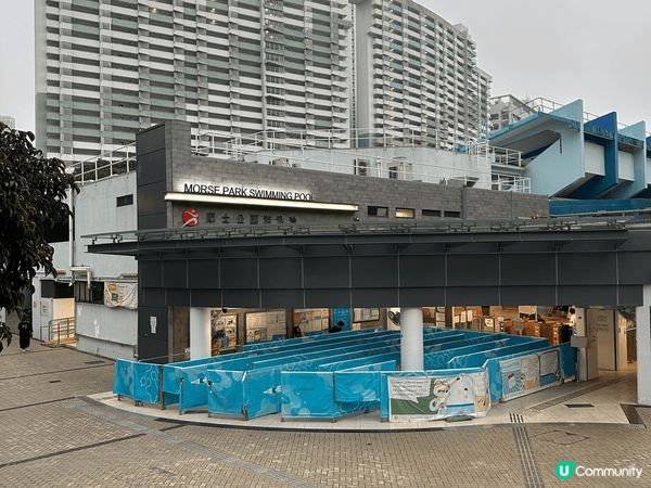 獅子山 九龍市中心 最方便的路線