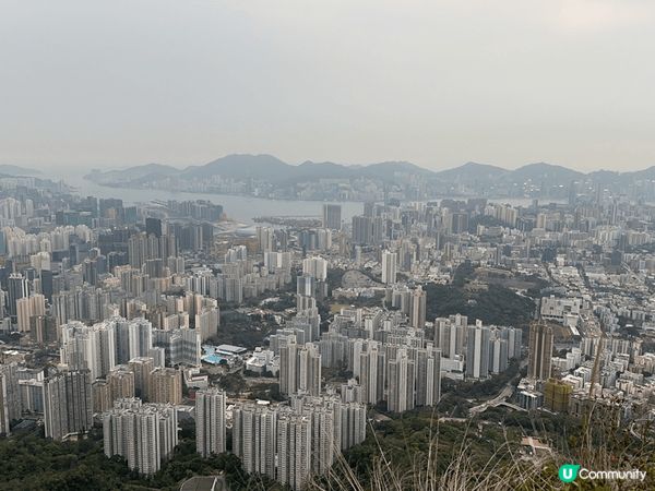 獅子山 九龍市中心 最方便的路線