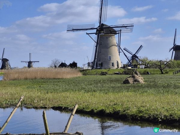 風車村,600座風車同時運作，以風力驅動風車，像是機鋸木材、...