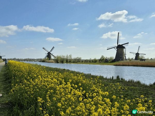 風車村,600座風車同時運作，以風力驅動風車，像是機鋸木材、...