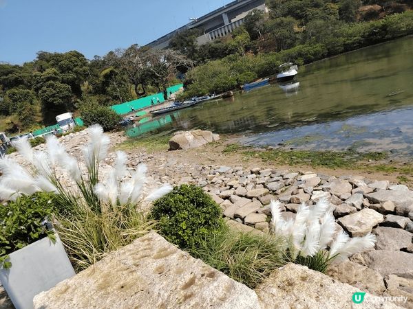 馬灣嘅活化 ， 屋宇多色彩 ，河邊美麗嘅花朵 ，難得連寵物都...