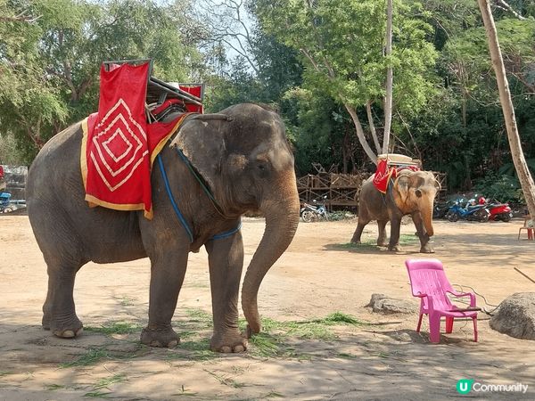 當我去到時，覺得很宏偉和莊觀，它們全是用手雕刻，手工精緻，而...