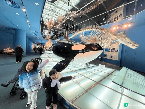 途中嘅靚相係喺日本名古屋影嘅，日本名古屋真係好靚，無論係瘋狂...