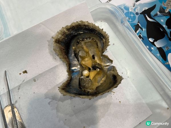 途中嘅靚相係喺日本名古屋影嘅，日本名古屋真係好靚，無論係瘋狂...