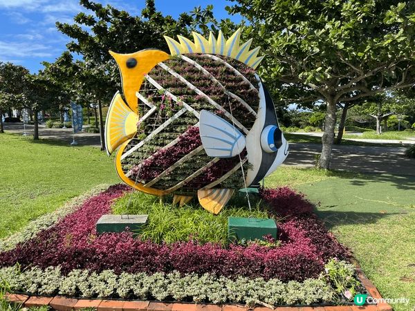 沖繩打卡熱點，美麗海水族館、水底觀光船