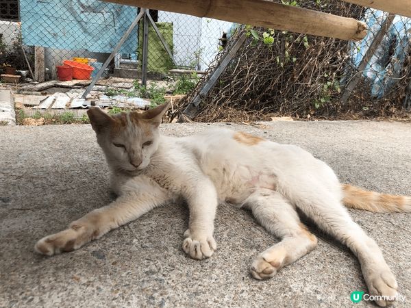 我去了河源，特別喜歡**自然風光**：河源擁有美麗的山水風光...