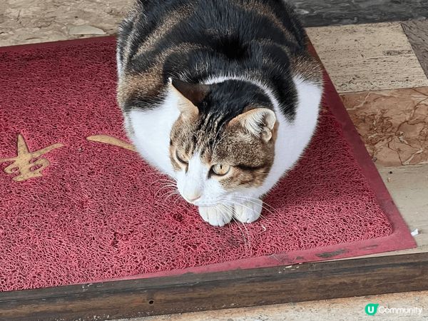 放假時與朋友去了大澳郊遊，發現很多打卡位，還有