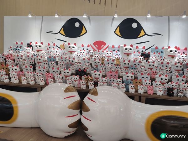 喜歡招財貓的朋友，必定要黎啟德sogo 打卡，有個位的招財貓...