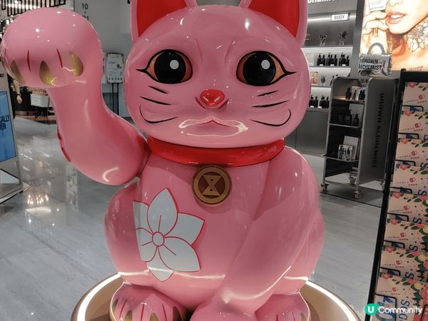 喜歡招財貓的朋友，必定要黎啟德sogo 打卡，有個位的招財貓...