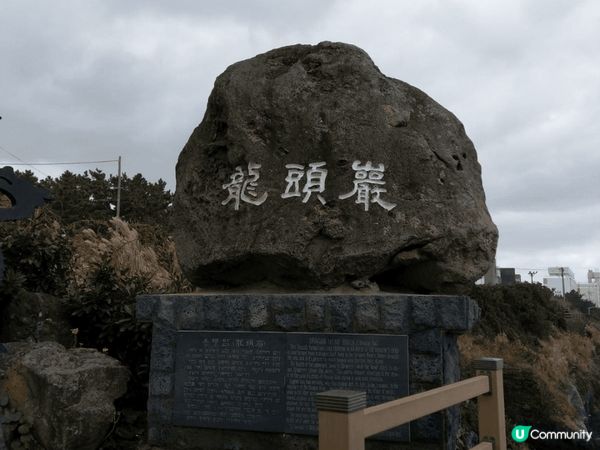 #沉醉櫻花海,韓國濟州島景點龍頭巖,龍落頭向海岸線前方,成一...