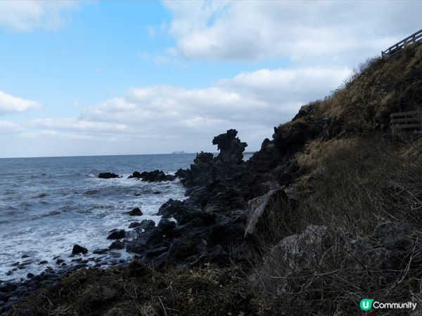 #沉醉櫻花海,韓國濟州島景點龍頭巖,龍落頭向海岸線前方,成一...