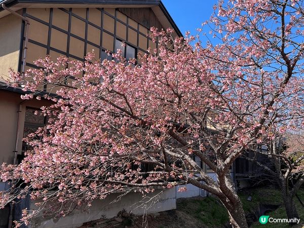 Pic 1 Dormy Inn Gotemba, super...