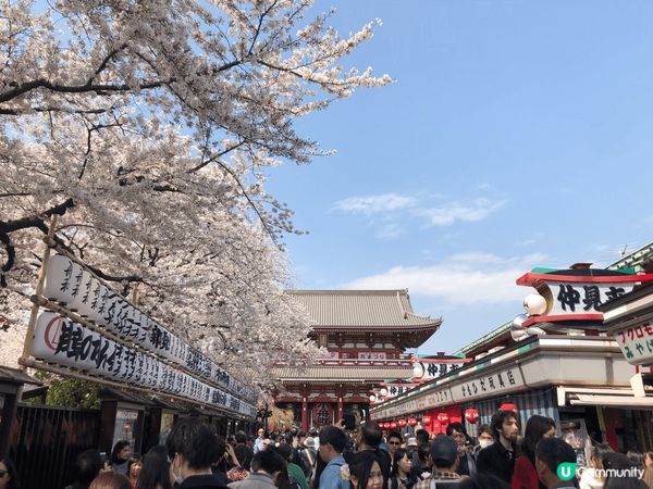 相片於2019年4月在東京拍攝，當時正是櫻花季節，周圍隨便拍...