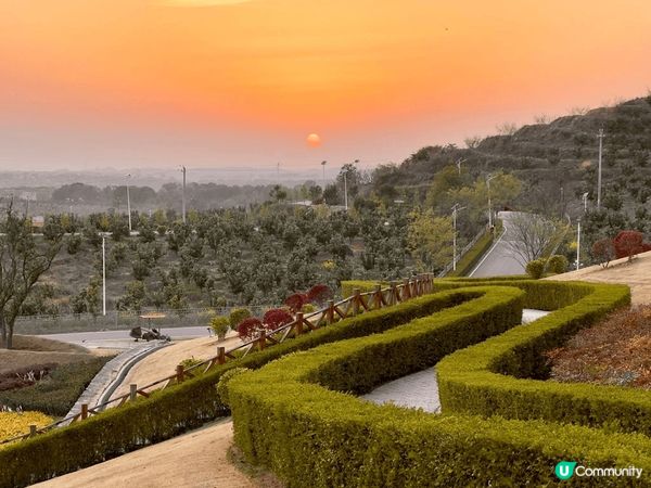 今早雖有看不見日出的失落，但卻有偶遇美麗日落的驚喜，感謝天公...