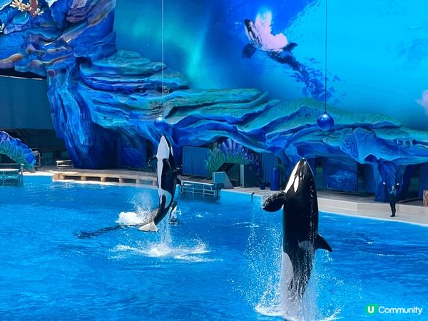 珠海長隆飛船樂園&酒店套票，舒服有冷氣（不過唔好預好凍，哈哈...