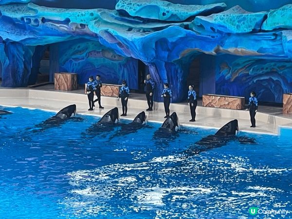 珠海長隆飛船樂園&酒店套票，舒服有冷氣（不過唔好預好凍，哈哈...