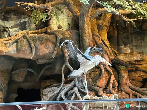 珠海長隆飛船樂園&酒店套票，舒服有冷氣（不過唔好預好凍，哈哈...