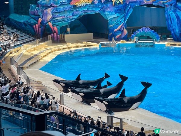 珠海長隆飛船樂園&酒店套票，舒服有冷氣（不過唔好預好凍，哈哈...