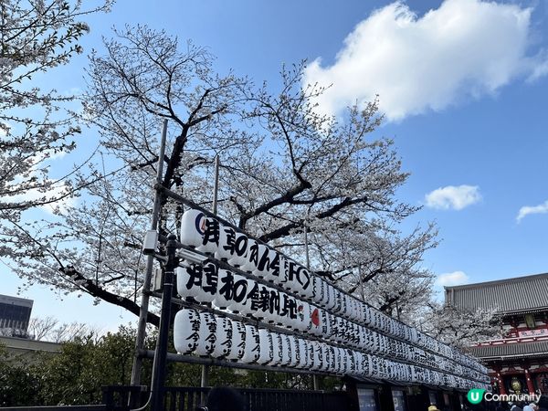 東京淺草觀音寺是東京的必來景點，永遠充滿了人潮，兩旁的商店街...