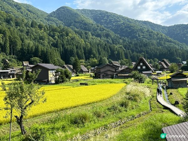 2024年9月份的名古屋旅行，這是夏天的白川鄉，另有一番風味...