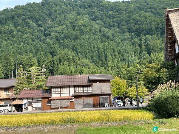 2024年9月份的名古屋旅行，這是夏天的白川鄉，另有一番風味...