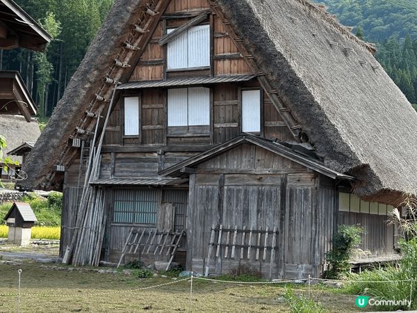 2024年9月份的名古屋旅行，這是夏天的白川鄉，另有一番風味...