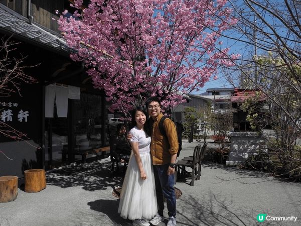 上年同女朋友去日本東京賞櫻花，原本打定輸數，因正常4月頭已經...