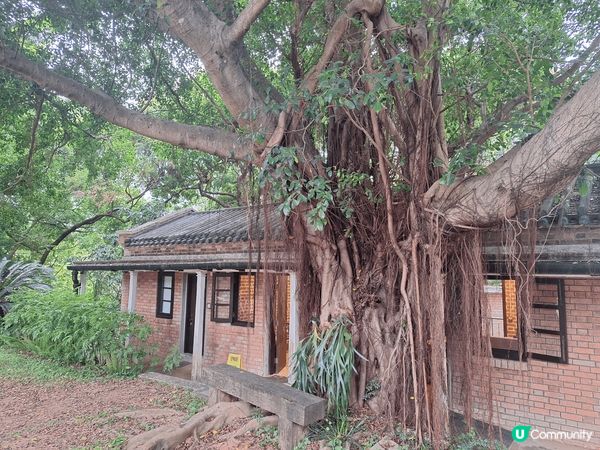 嗰日放假，特意去咗 大埔舊警察局，呢個地方充滿歷史韻味，亦係...