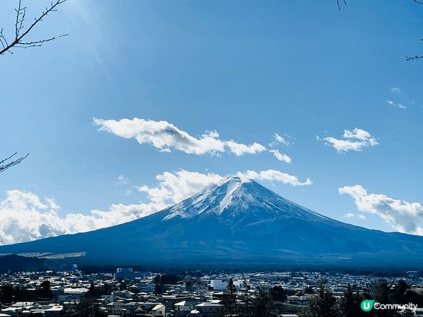 這次是與我老公第一次去東京旅行，記念我地拍拖的日子，十分有記...