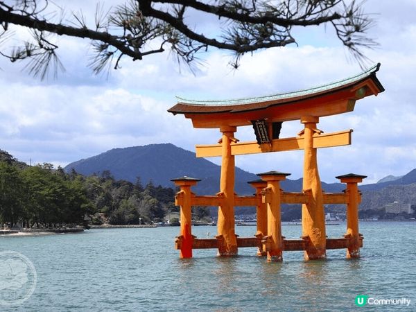 我喜歡廣島的嚴島神社是日本國內的世界文化遺產之一，神社內的[...