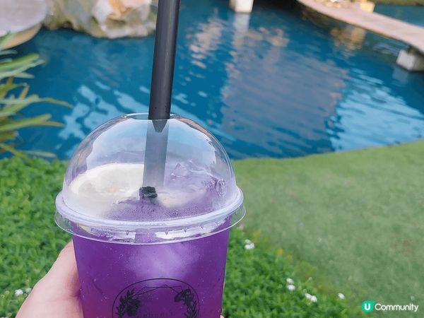 此地方值得一去，很多打卡位，而且可以很享受地消磨一個白天，環...